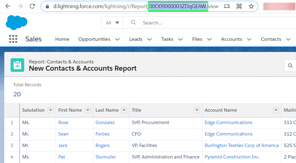 Salesforce report ID