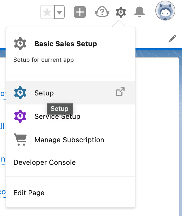1 salesforce api setup