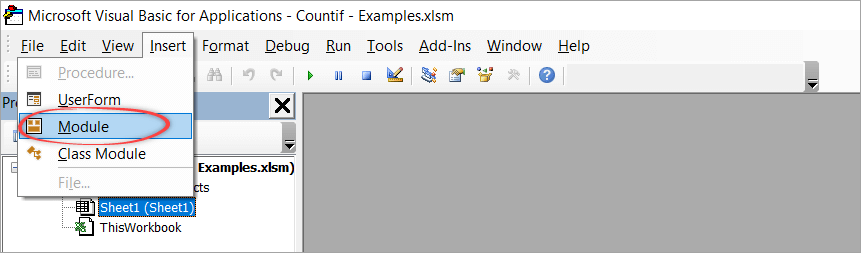 Figure 4.3. Inserting a new VBA Module