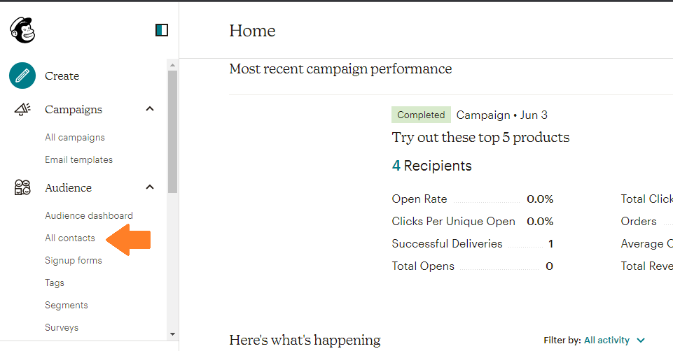 Image 25 How to back up Mailchimp Contacts