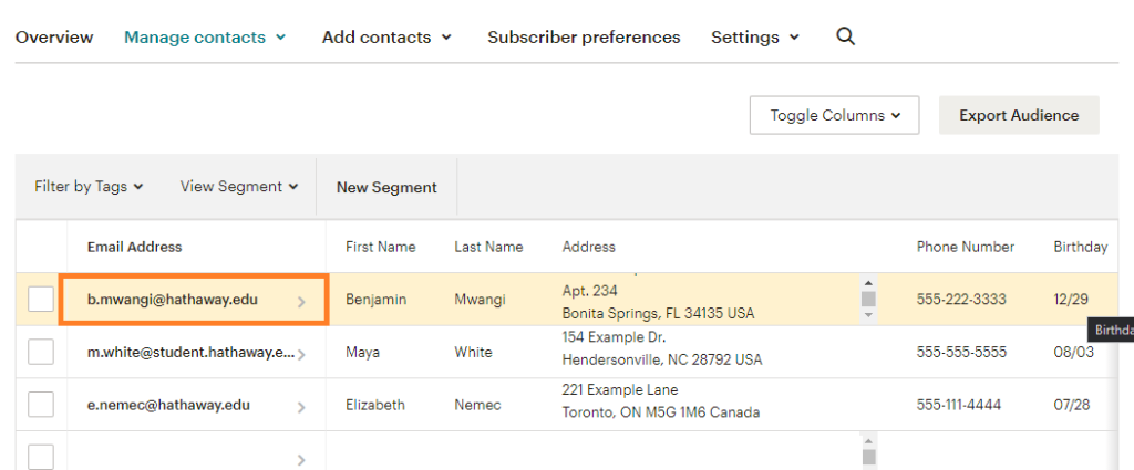 Image 26 How to back up Mailchimp Contacts 2