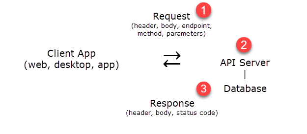 Figure 1. REST API basic flow