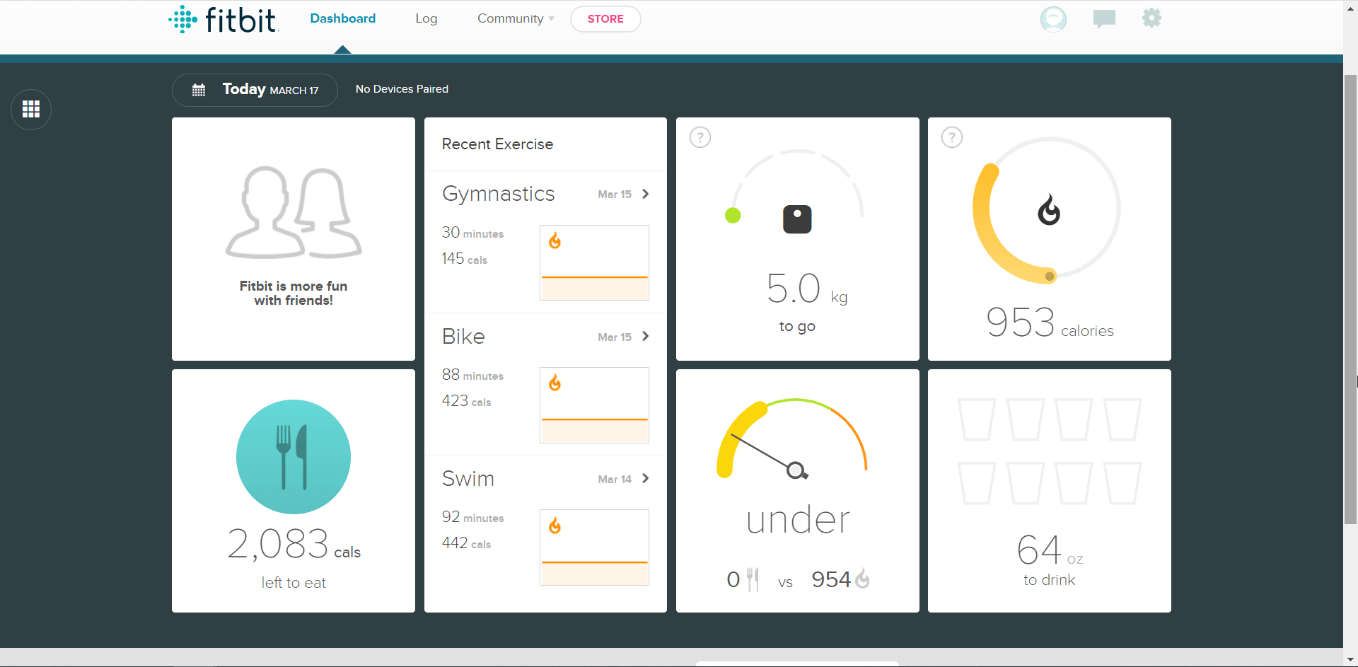 Fitbit dashboard