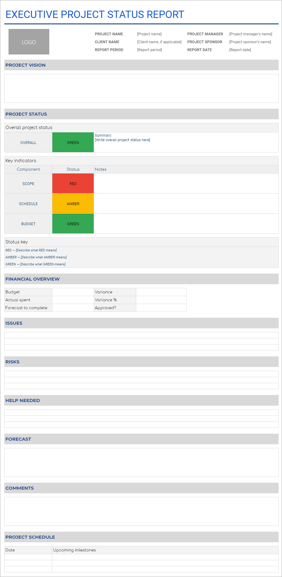 Executive Project Report Template