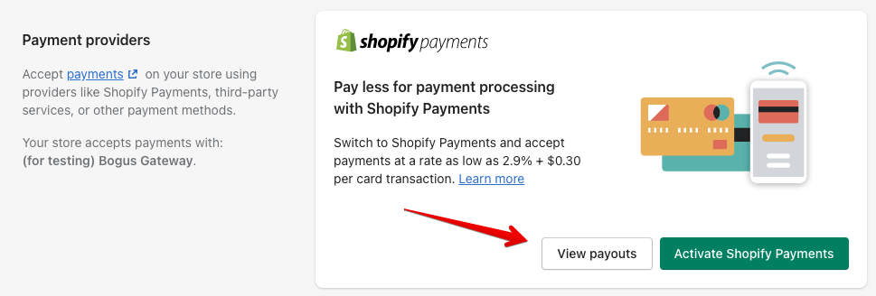 14 - shopify payouts