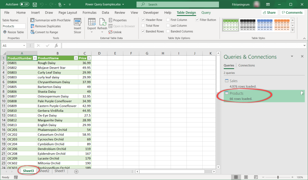 Figure 11. Products table in a new worksheet