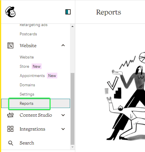 6 website reports