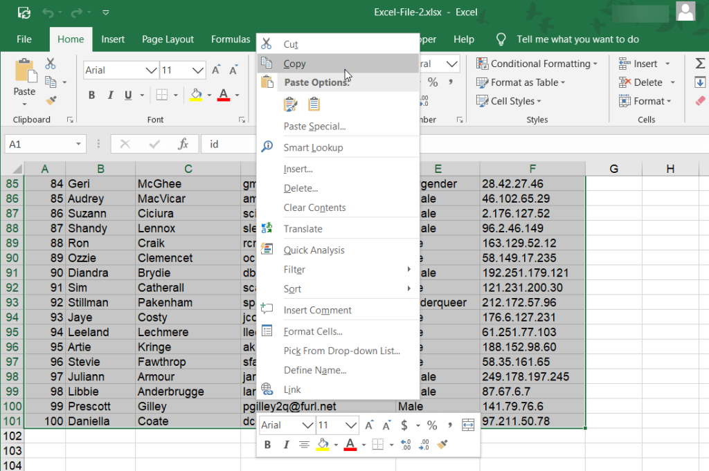 1.2 copy dataset excel