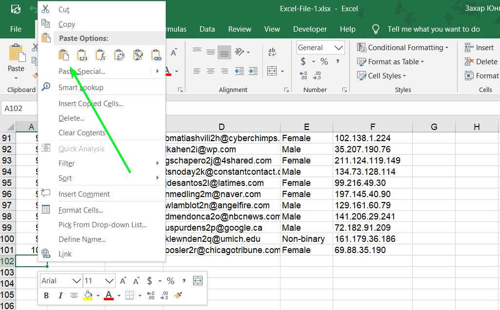 1.3 paste dataset excel