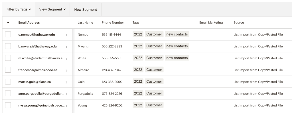 16. Mailchimp import contacts manually example
