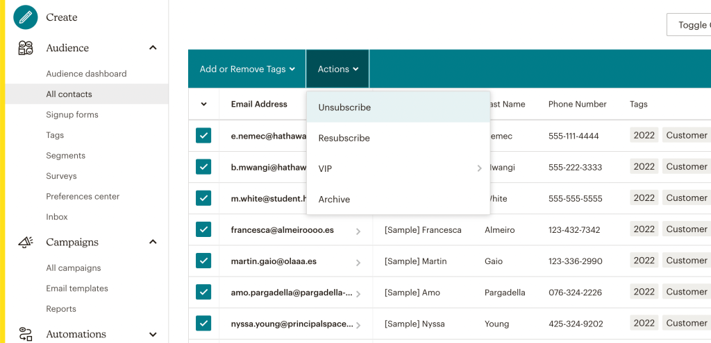 19. Mailchimp suppression list unsubscribe