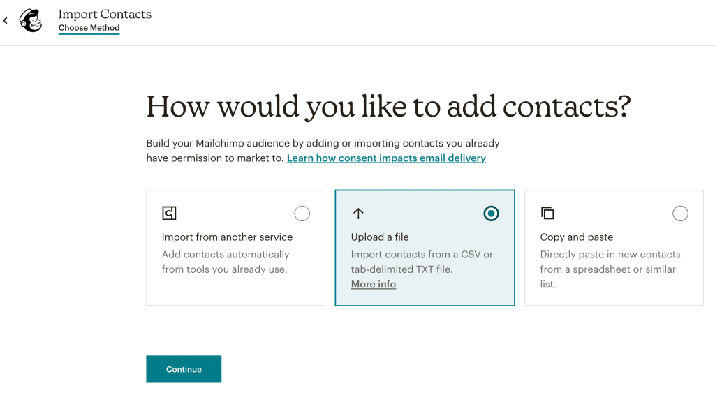 26. Mailchimp update list import from a file