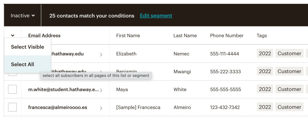 30. Clean Mailchimp list select all