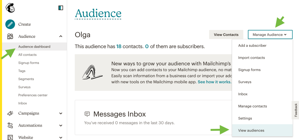 32. Mailchimp view audiences