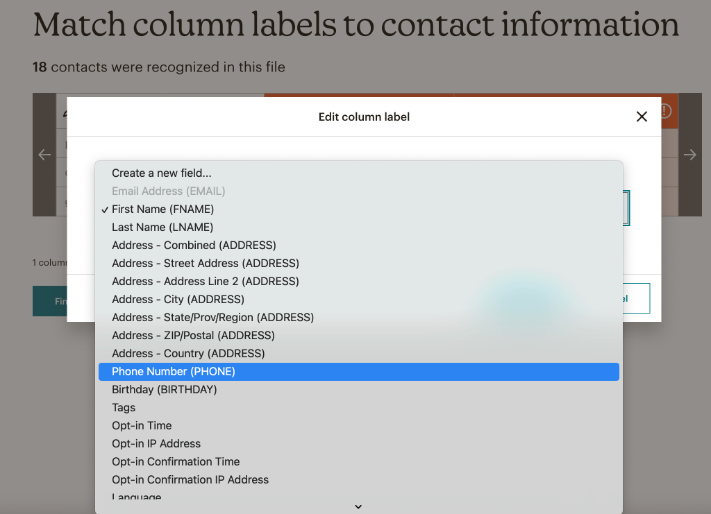6. Mailchimp import contacts format info 2
