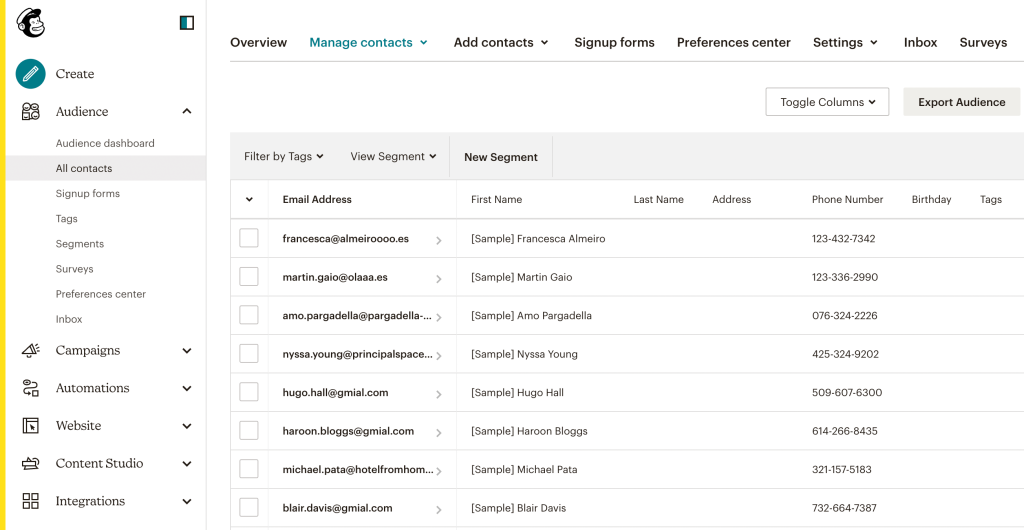 7. Mailchimp import contacts example