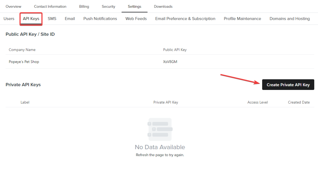 1 create klaviyo private api key