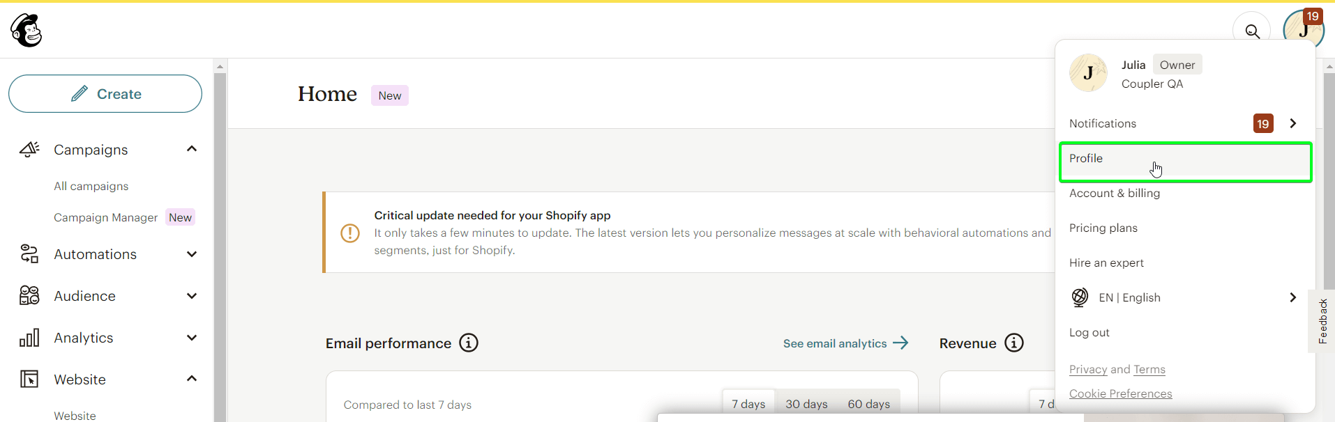 5.1 perfil de la cuenta mailchimp