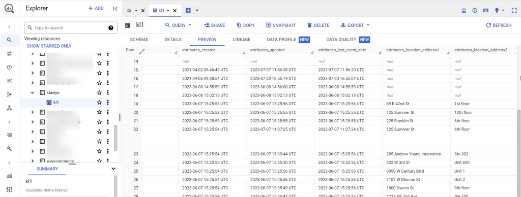 5 Klaviyo profiles data 1