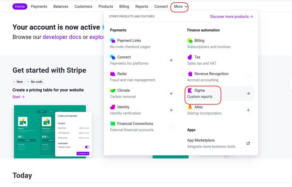 9.export data Stripe Sigma step1