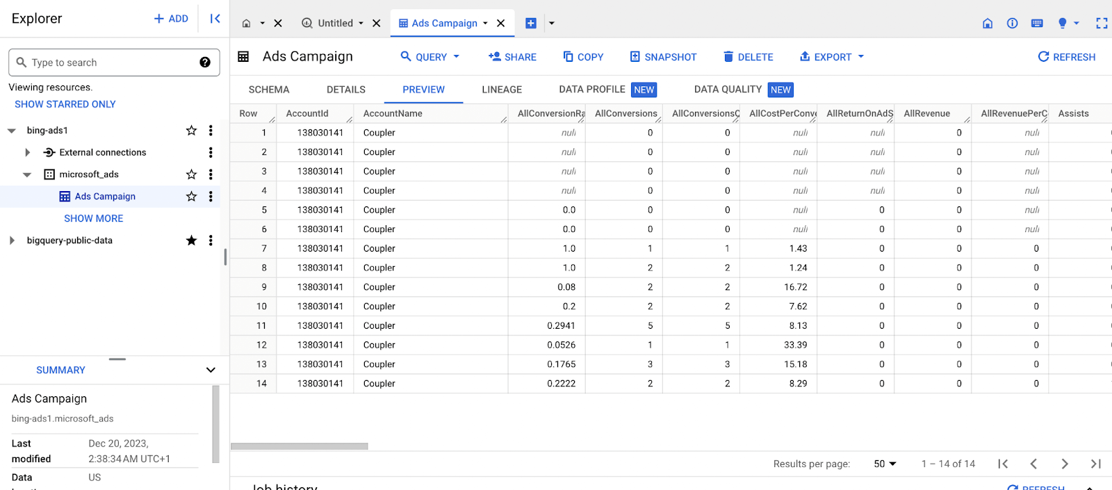 archivo csv de bingads cargado