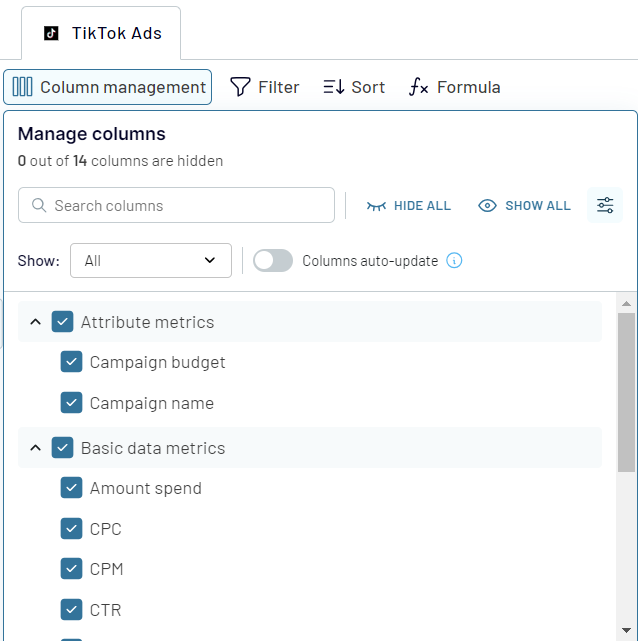 TikTok Ads data preview