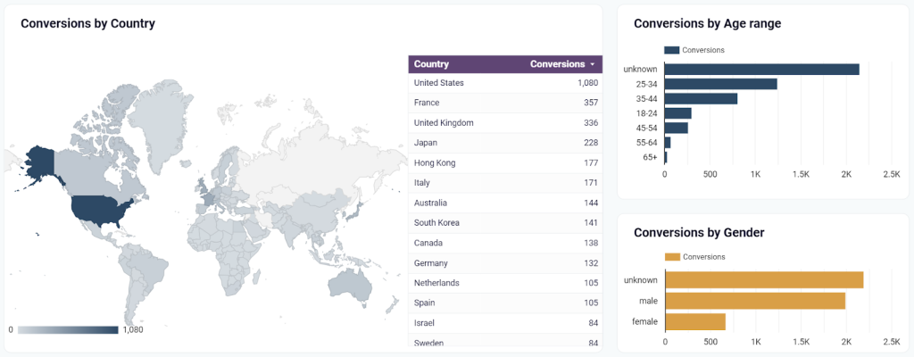 Google Ads dashboard conversions by demographics