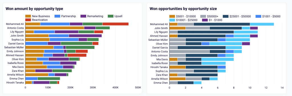 Sales team performance dashboard for Salesforce in Looker Studio - opportunities by type and size