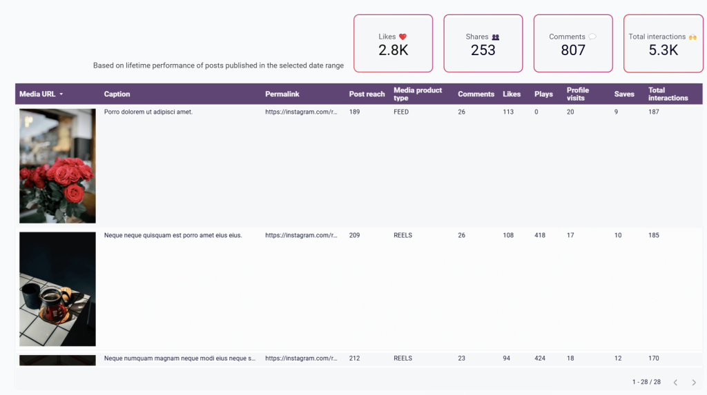 instagram analytics dashboard example