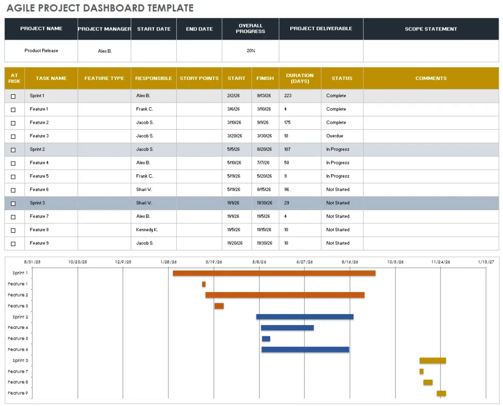 11 agile project