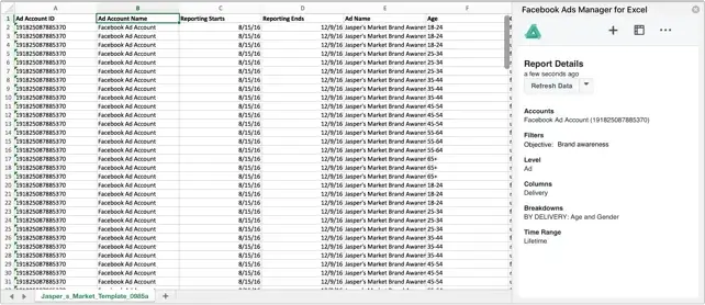 6. Facebook Ads Manager for Excel an add in by Meta