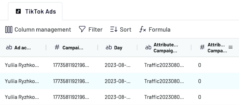 5 transform tiktok ads data