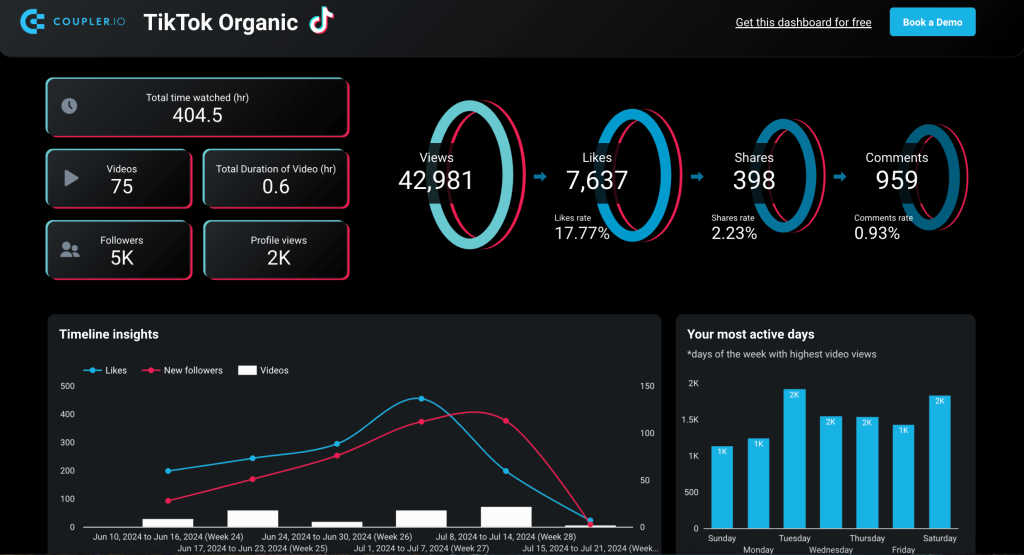 5. TikTok Analytics dashboard