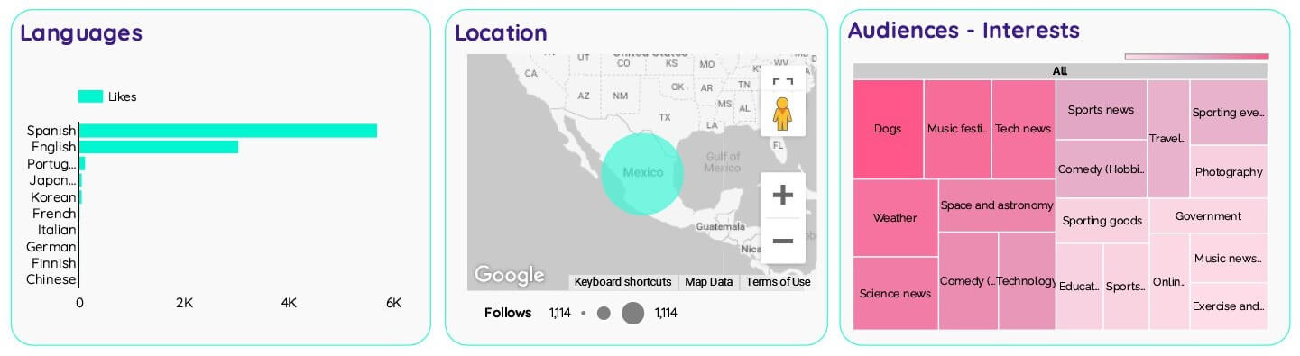 Twitter Ads full report template by Portermetrics - Segmentation