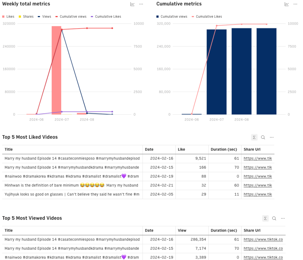 TikTok analytics dashboard