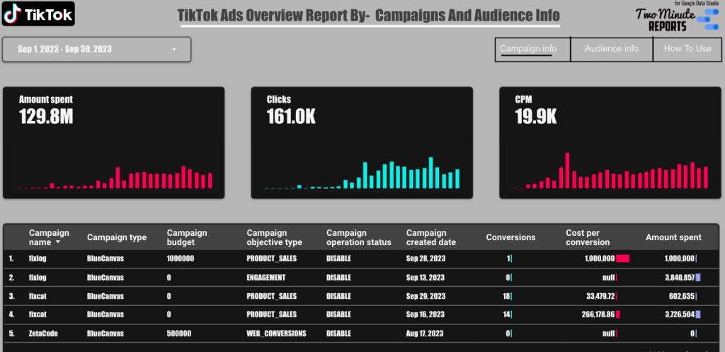 TikTok Ads overview report