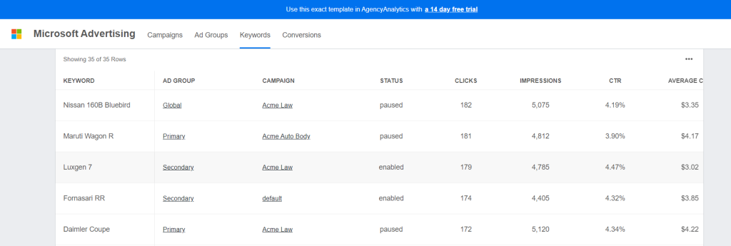 Image 12 Agency Analytics Ads report template