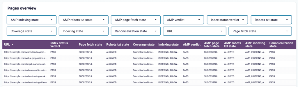 Technical audit dashboard2