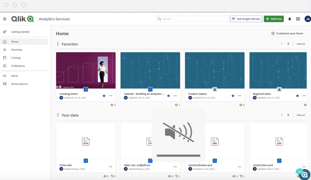Qlik interface