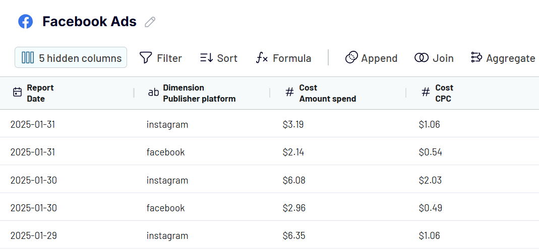 Dépenses quotidiennes pour les Facebook Ads