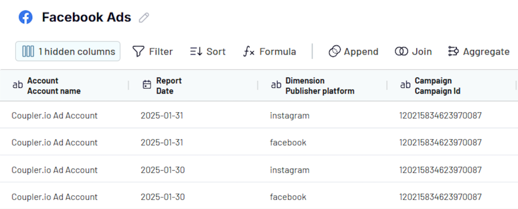 transform facebook ads data