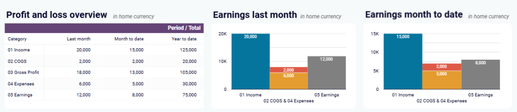 Coupler.io financial dashboard profit loss overview