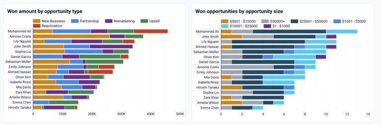 Tableau de bord des performances de l'équipe de vente pour Salesforce dans Looker Studio - opportunités par type et par taille