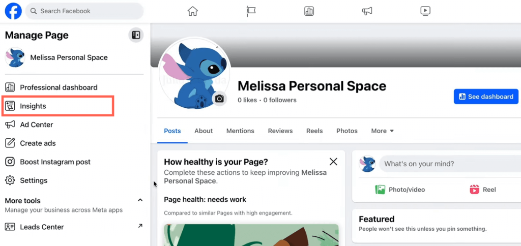 facebook inisght tab